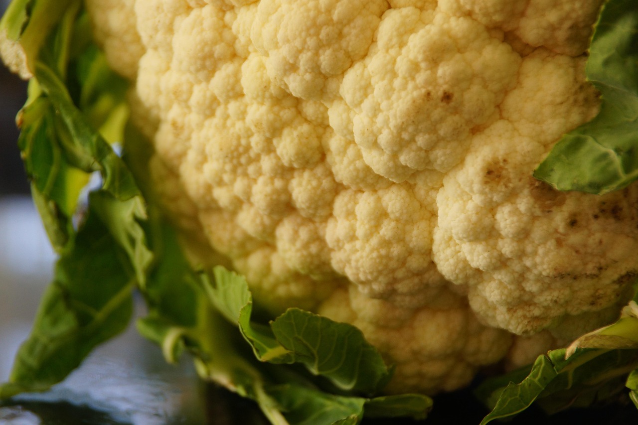 Cavolfiore al forno dorato e croccante su un piatto bianco, pronto da gustare.