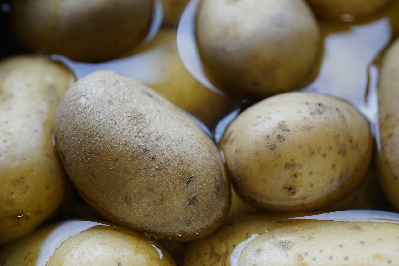 Patate lesse intere in una pentola con acqua fredda, pronte per la cottura.