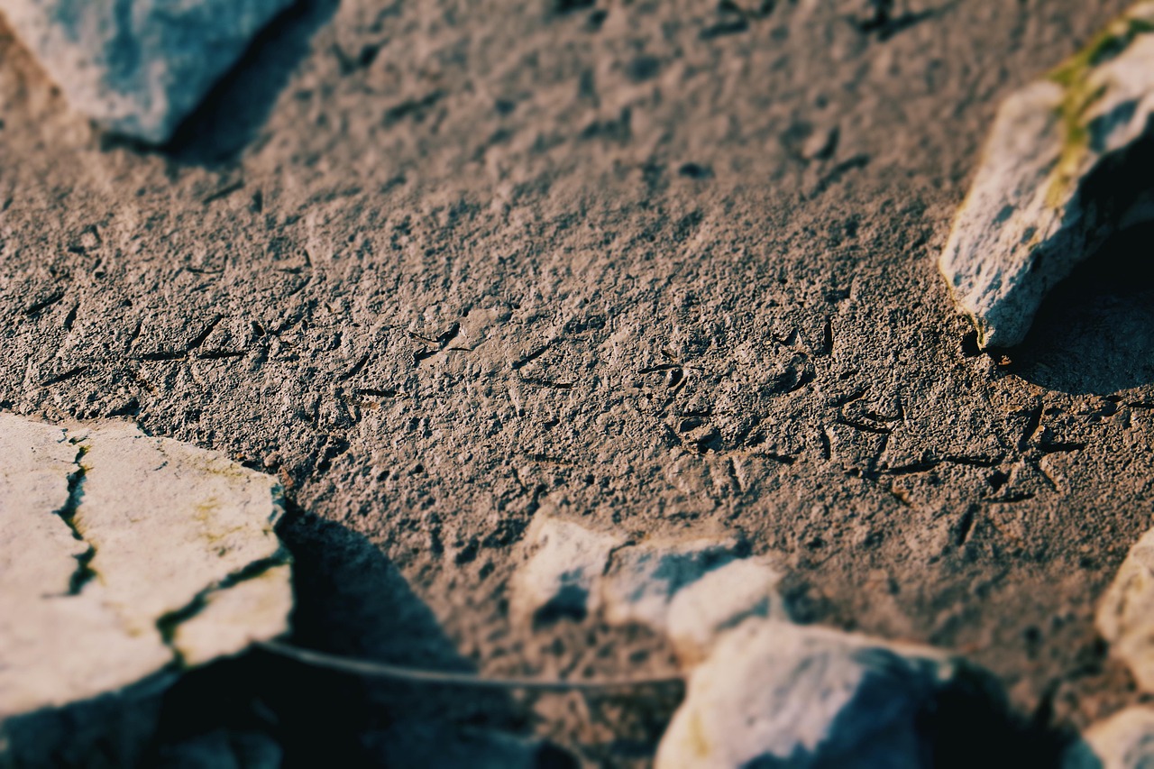 Impronte di dinosauro fossilizzate su roccia nella valle dei dinosauri in Italia.